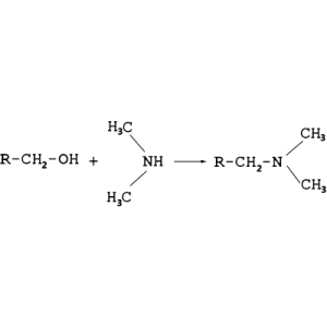 Amination